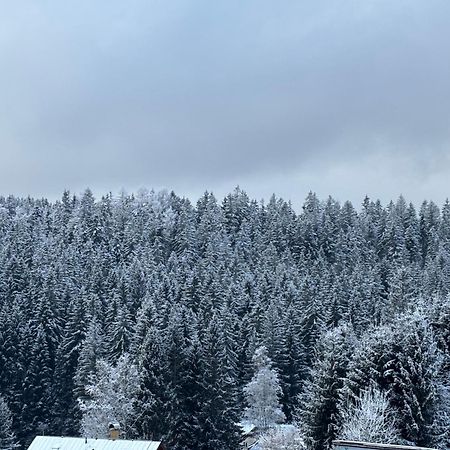 Penzion Verde Rosa Harrachov Zewnętrze zdjęcie