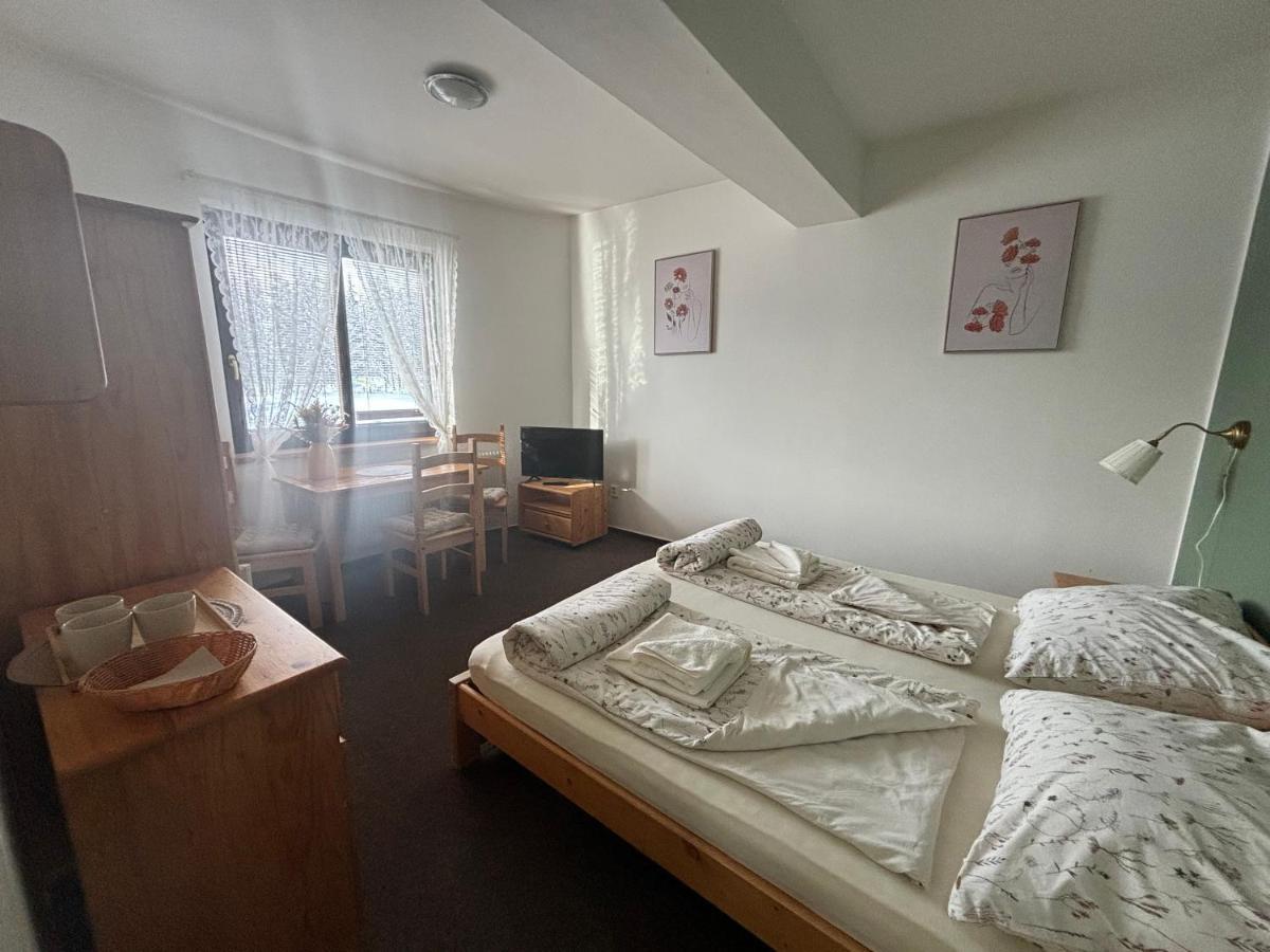 Penzion Verde Rosa Harrachov Zewnętrze zdjęcie