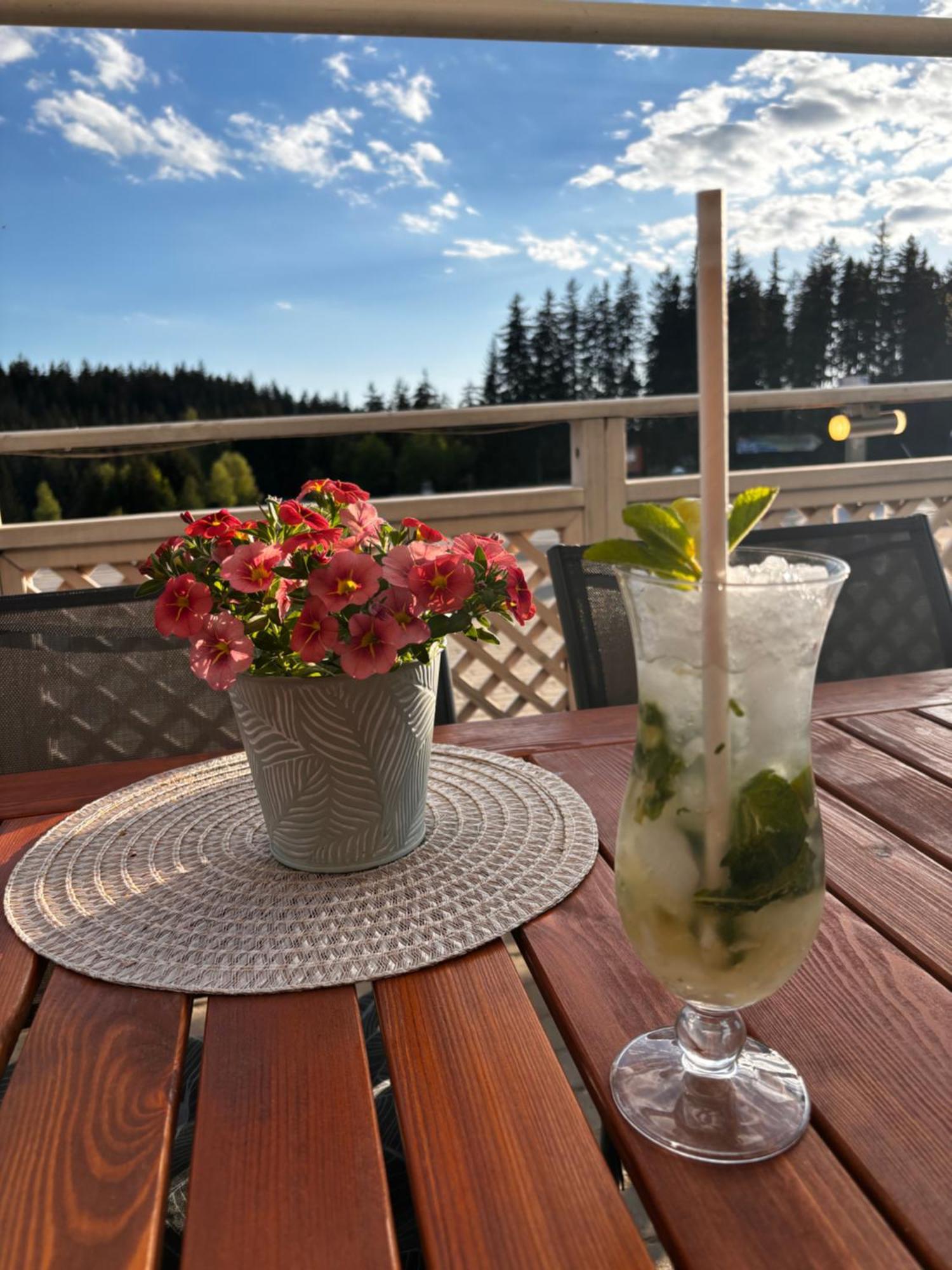 Penzion Verde Rosa Harrachov Zewnętrze zdjęcie