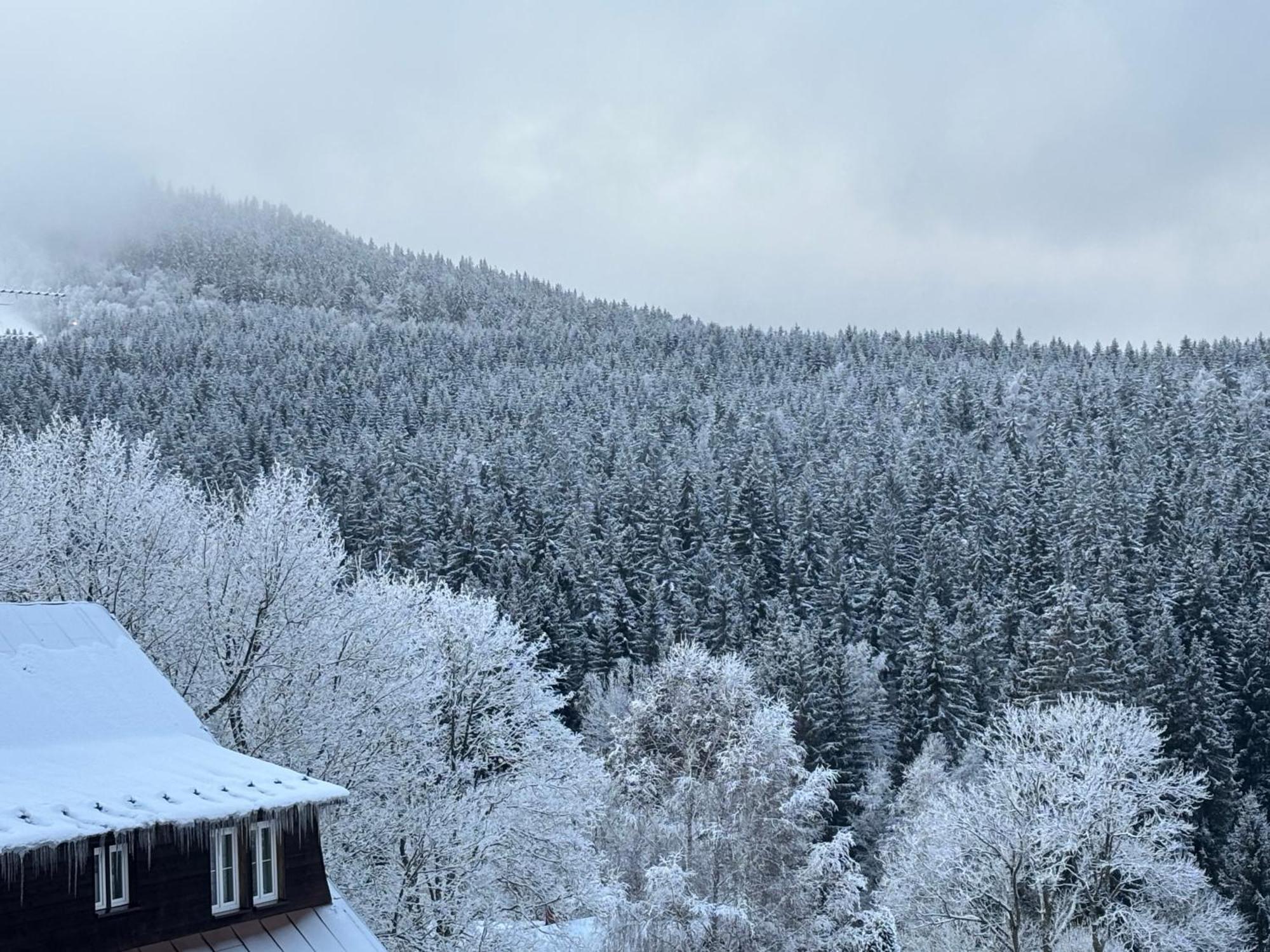 Penzion Verde Rosa Harrachov Zewnętrze zdjęcie